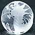 水晶 青龍