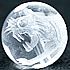 水晶 白虎
