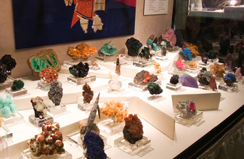 ショーケースの希少石