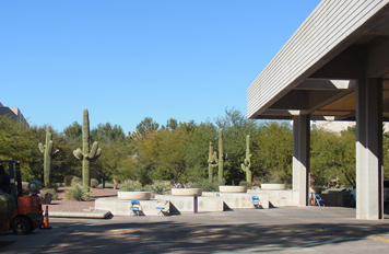 ショー会場の周りにサボテン<