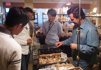 海外で直接買い付け