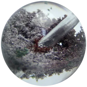 ガーデンクォーツ