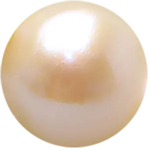 淡水パール