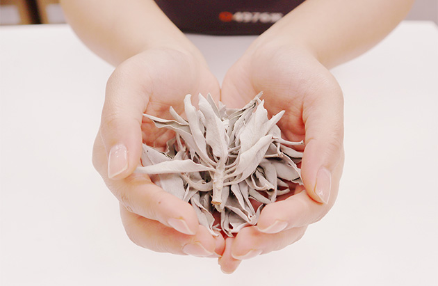 ホワイトセージ